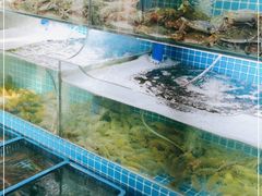 水产区-老东镇啤酒屋海鲜加工·蒸汽海鲜·海鲜烧烤(台东店)