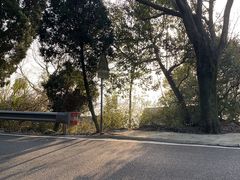 -平湖九龙山旅游度假区