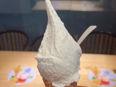 -野人先生现做冰淇淋(北京顺义祥云小镇店)