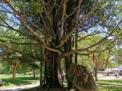 -红色娘子军纪念园