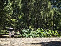 -洛阳市隋唐城遗址植物园