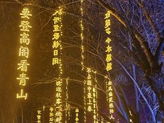 -万泉公园