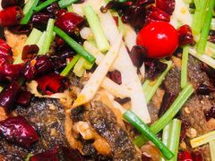 -老板恋上鱼(荣盛广场店)