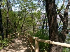 -帽儿山国家森林公园