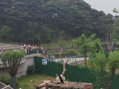 -沈阳森林动物园
