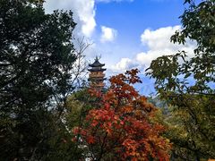 -塔云山