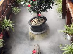 -三只耳火锅(宽窄巷子店)