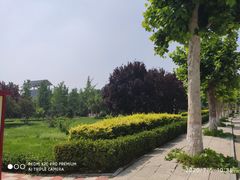 -赵州桥景区