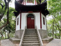 -上海佘山国家森林公园天马山园