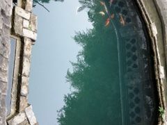 -习家池