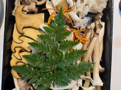 -花菇朵 ll 野生菌锅·精品滇菜(后沙峪店)