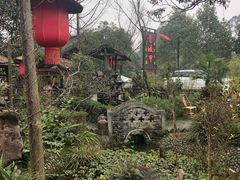 -青城甲(青城山店)