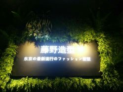 点击看大图 -藤野造型