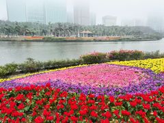 -万绿园