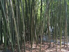 -包公祠