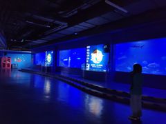 -重庆欢乐海底世界