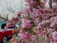 -蓝地时尚庄园(北京清河营地铁站店)