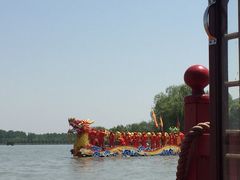 -溱湖国家湿地公园