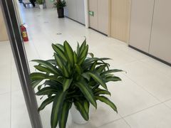 -慈铭体检(洋桥分院)