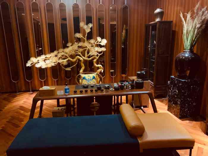 戴西养生堂spa(静安旗舰店)