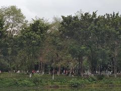 -海珠湖公园
