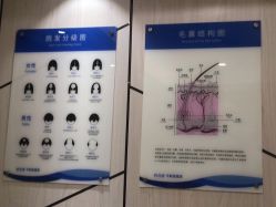 -碧莲盛·不剃发植发