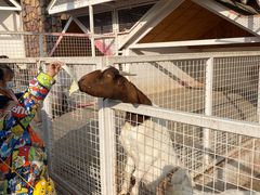 -金庭庄园酒店-停车场