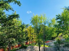 -阳台山自然风景区