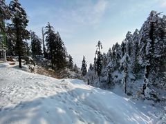 -瓦屋山景区