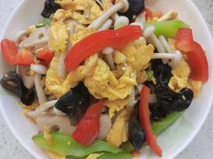 -爱月宝月嫂育儿嫂(太原店)