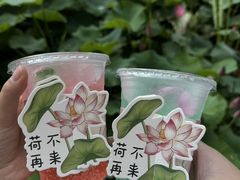 -花之城