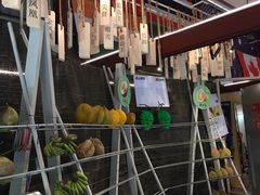 -都念榴莲·城市榴莲