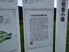 -艾米稻香小镇
