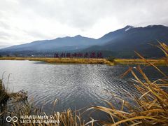 -腾冲北海湿地
