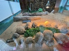 -宁波野生动物园