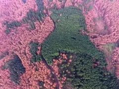 -山王坪喀斯特国家生态公园