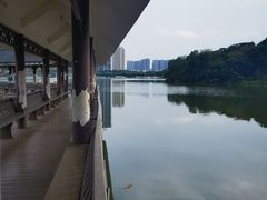 -飞来湖湿地公园