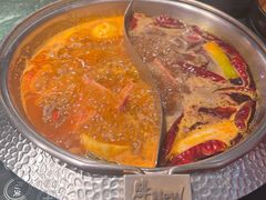 -牛New寿喜烧(金鹰世界店)