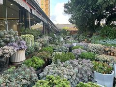 -山菌美食苑(振兴路店)