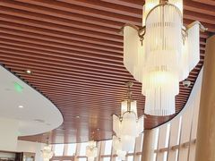 -圆苑(金茂店)