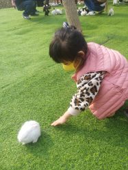 -萌宠亲子动物乐园(槐房万达店)