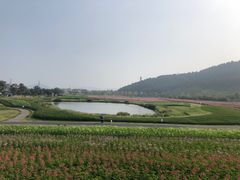-径山花海