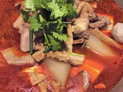-古乐牛香•鲜牛肉牛杂火锅(系马桩总店)