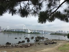 -台场海滨公园船码头