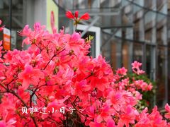 -功德林(南京西路店)