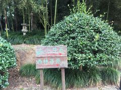 -杭州西湖风景名胜区-三生石