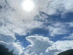 -西双版纳原始森林公园