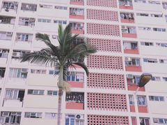 -彩虹村