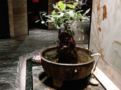 -南堂館川菜文化餐厅(天府店)