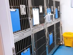 -诺比宠物医院心脏内科·泌尿肾内外科·骨科急重症